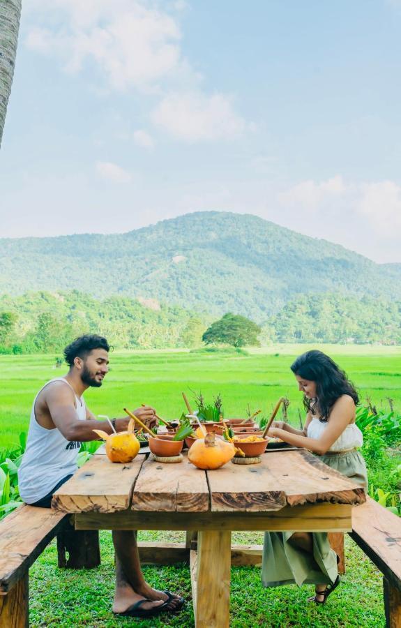 Villa Coconut Escapes Kurunegala Exterior foto